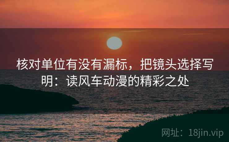 核对单位有没有漏标，把镜头选择写明：读风车动漫的精彩之处